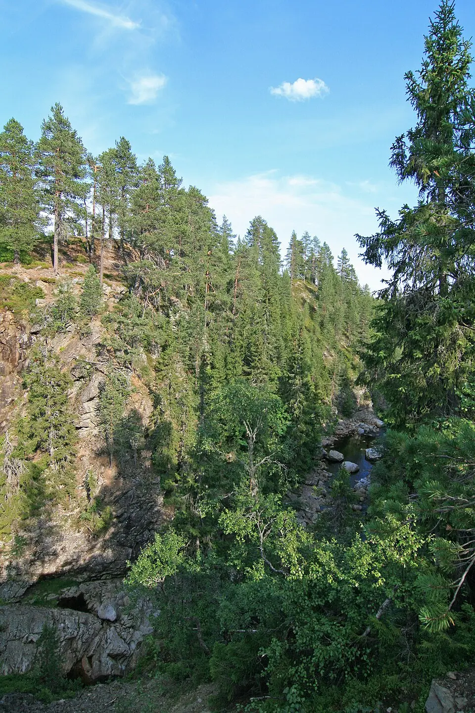 Korpreiret