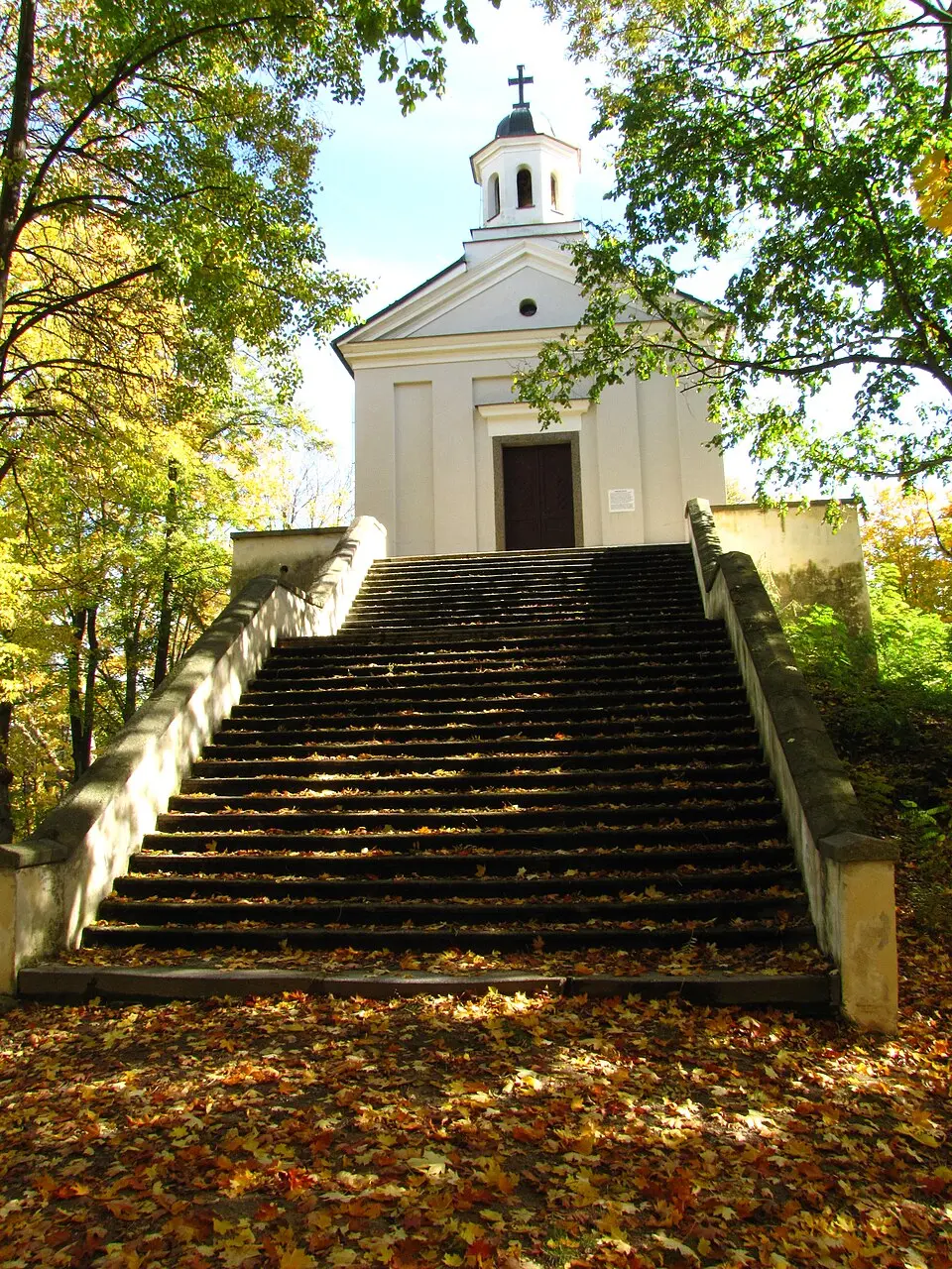 Mladá Vožice