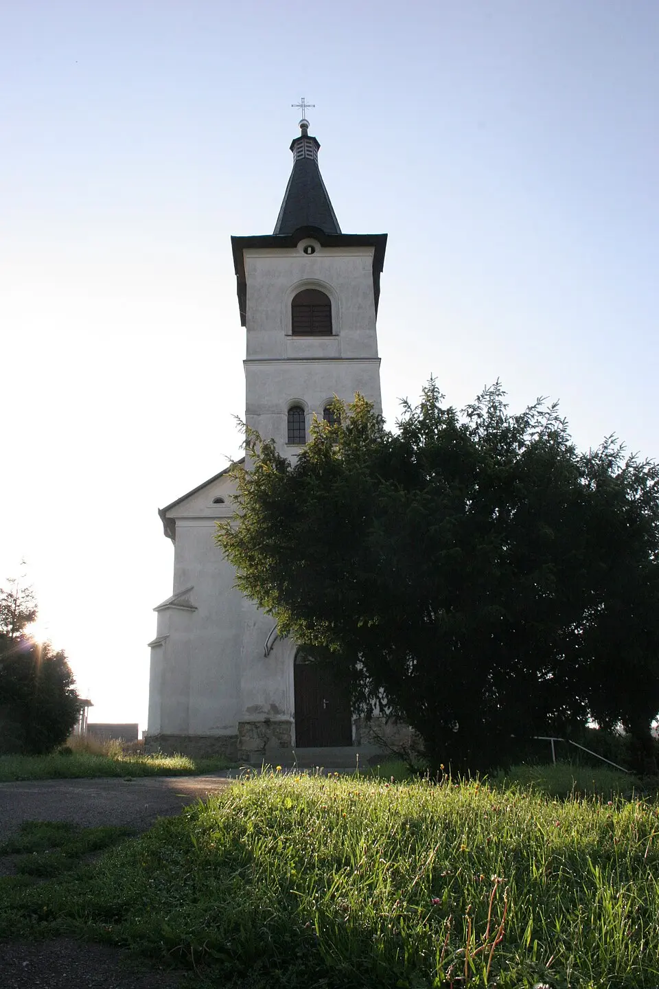 Obrázek: Roman07 at Slovak Wikipedia · Public domain Jalovec