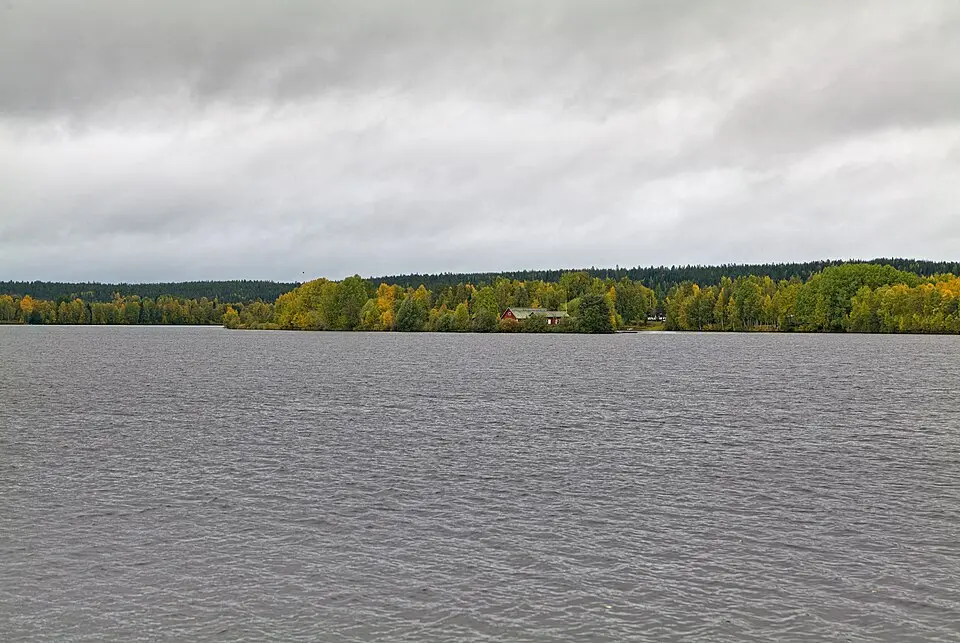Kotisaari