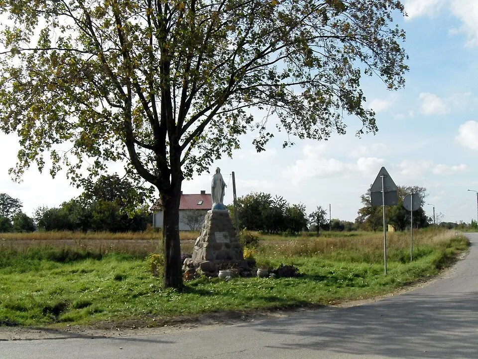 Kotowice