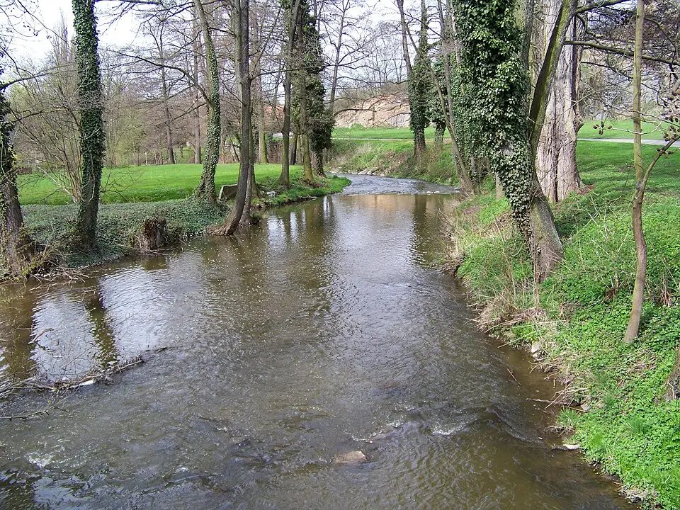 Výrovka