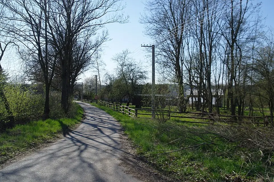 Kozín