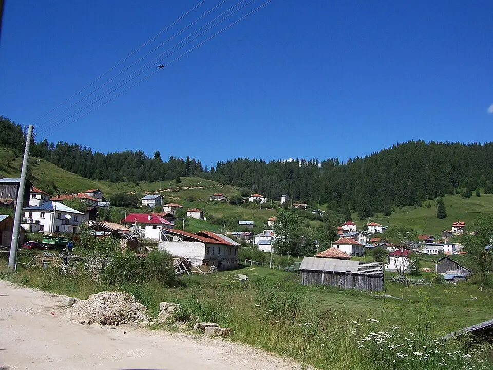 Kozhari