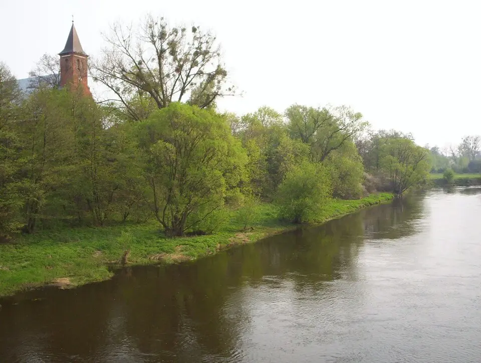 Kozłów Biskupi