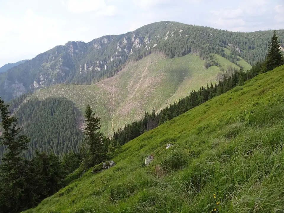 Krakova hoľa