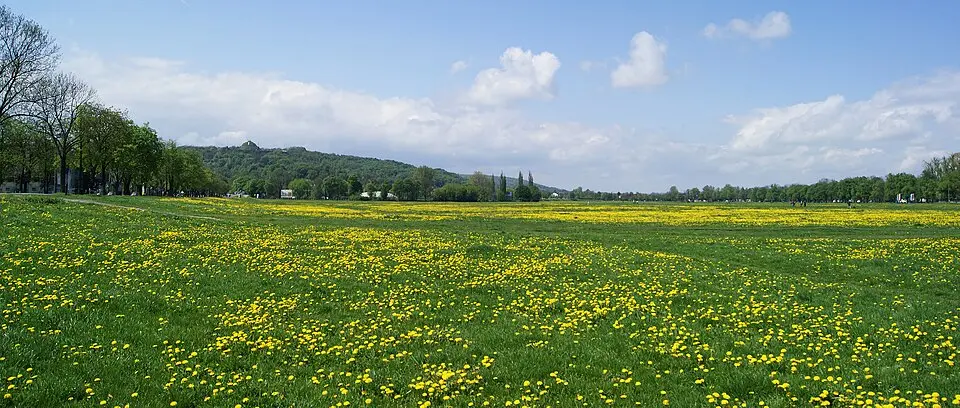 Błonia