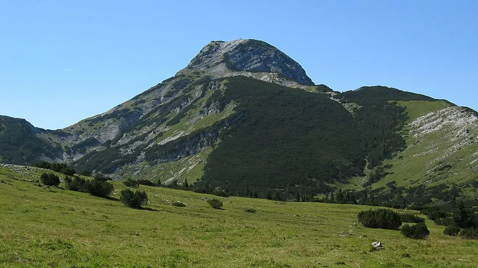 Kräuterin