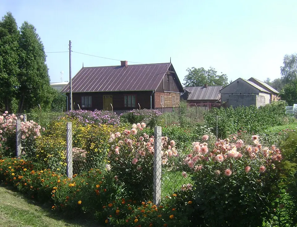 Królewski Las