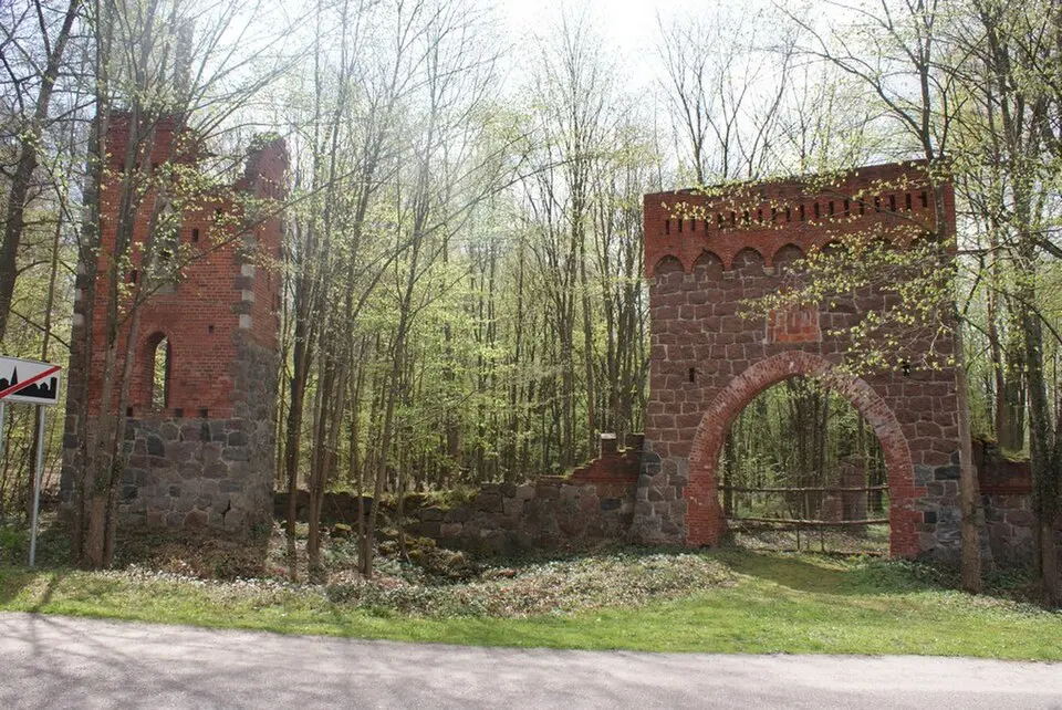 Park pałacowy