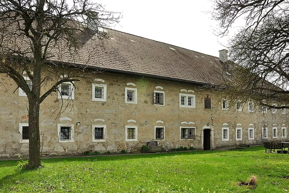 Neumayrgut