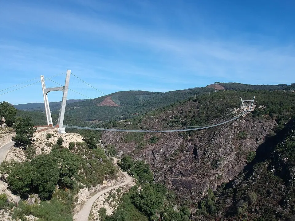 516 Arouca