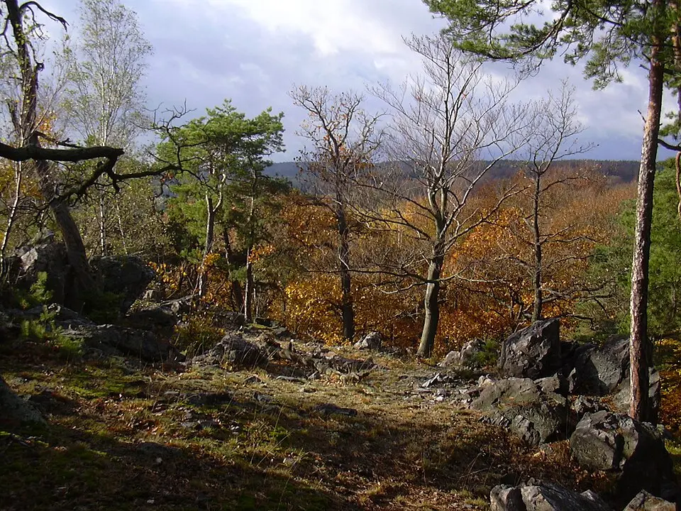 Křivoklátsko Protected Landscape Area