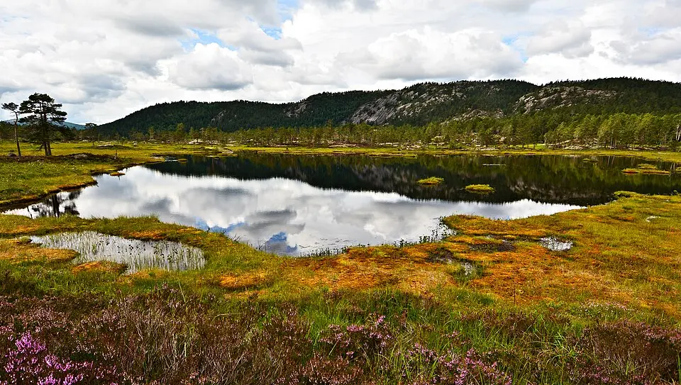 Hovassdalen naturreservat