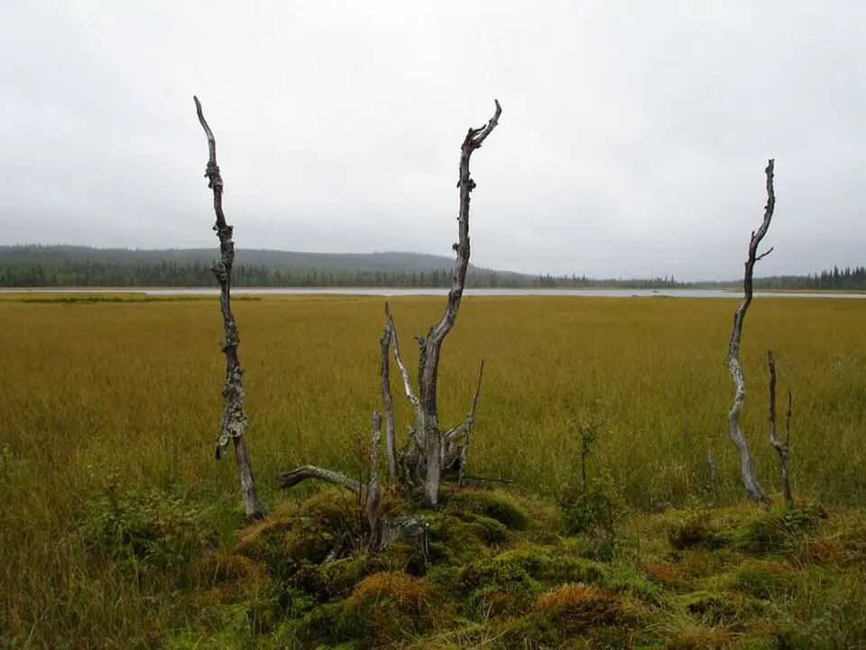 Stöttingfjället