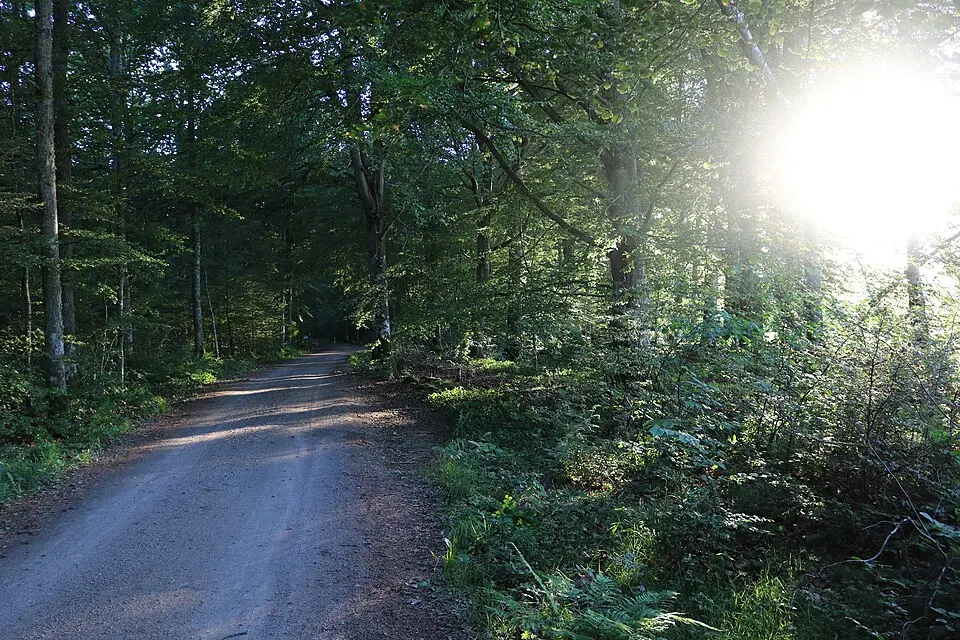 Kronoberg