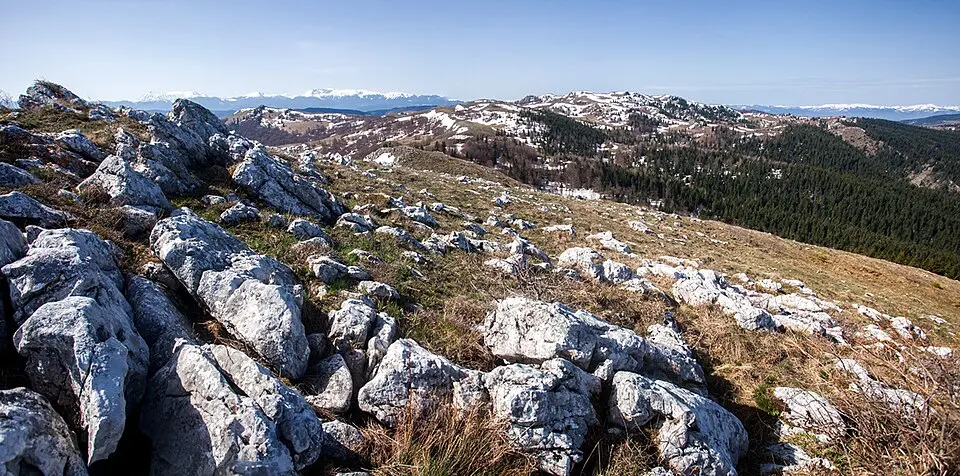 Крстача