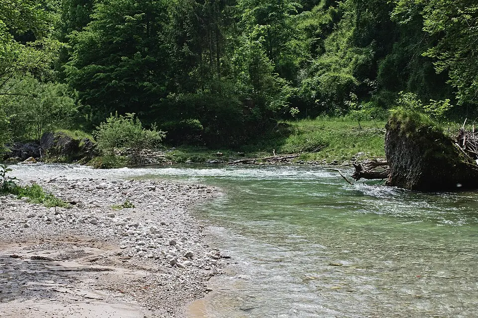 Krumme Steyrling