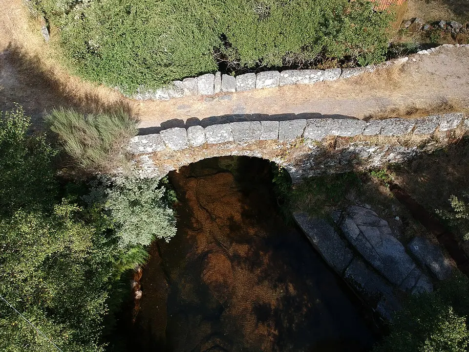 Varziela