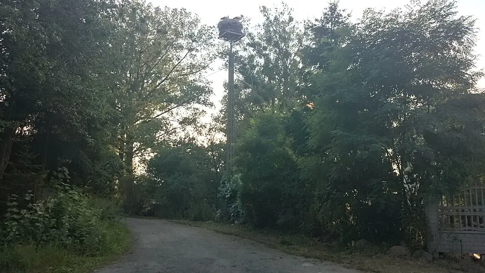 Krzeczanowo