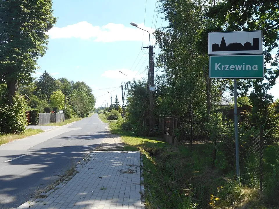 Krzewina