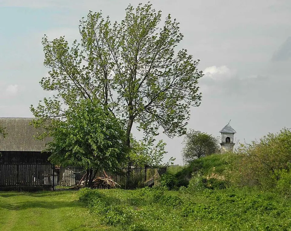 Krzyżanówka