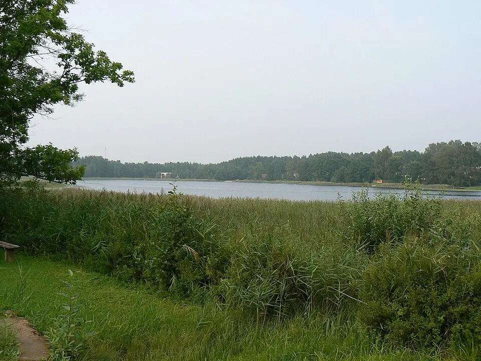 Kubija järv