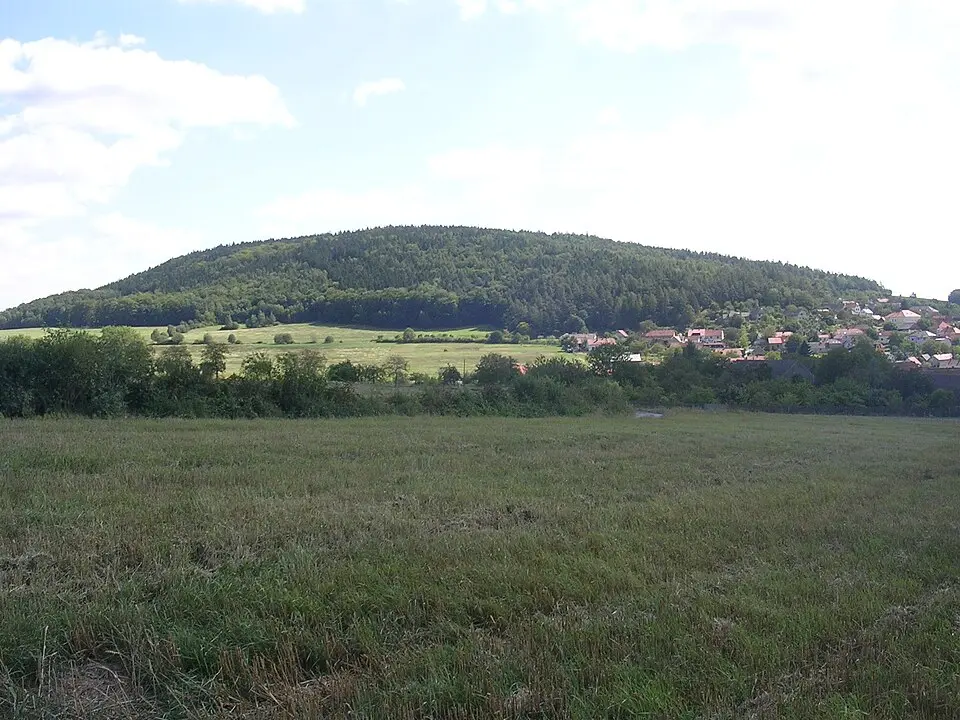 Velíz