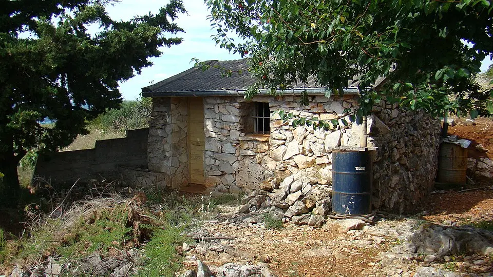 Obrázek: J.Vítek · CC BY 3.0 Krava