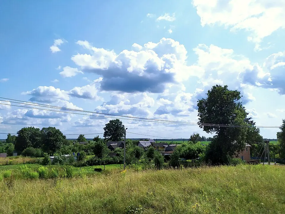 Культура