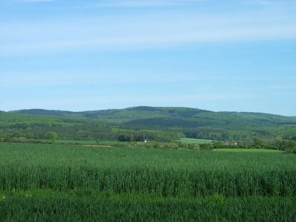 Kuhbett