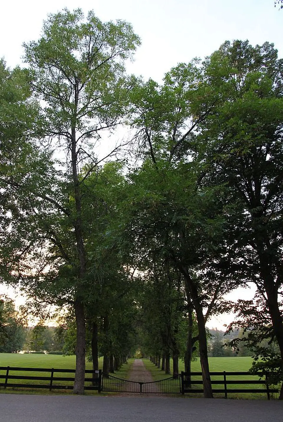 Laaksolahti
