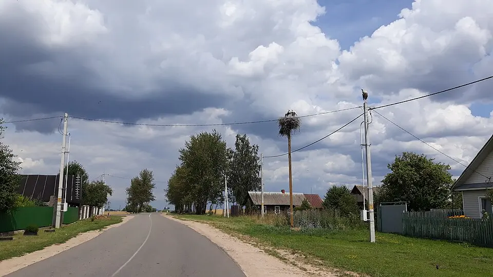 Кулікі