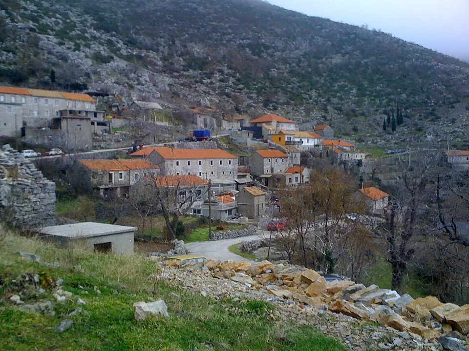 Kuna Konavoska