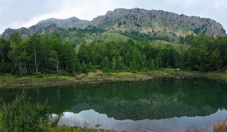 Kunora e Lurës