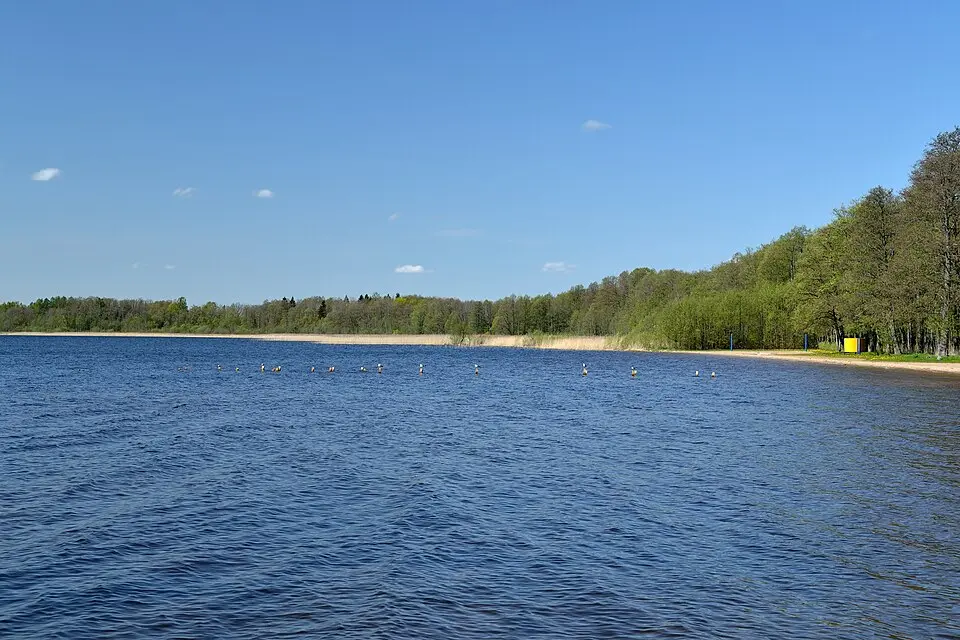 Kuremaa järv