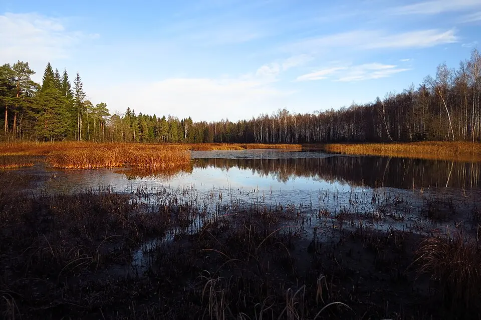 Kastjärv