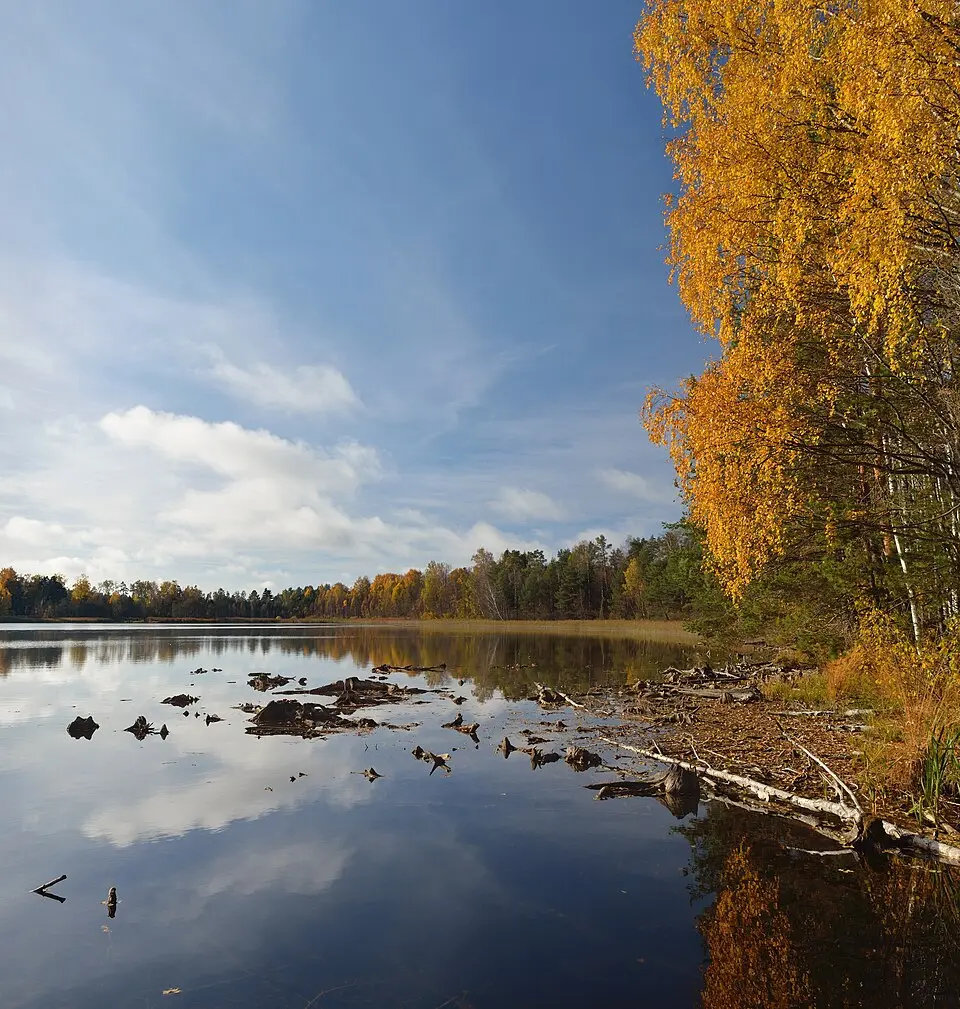 Nõmme järv