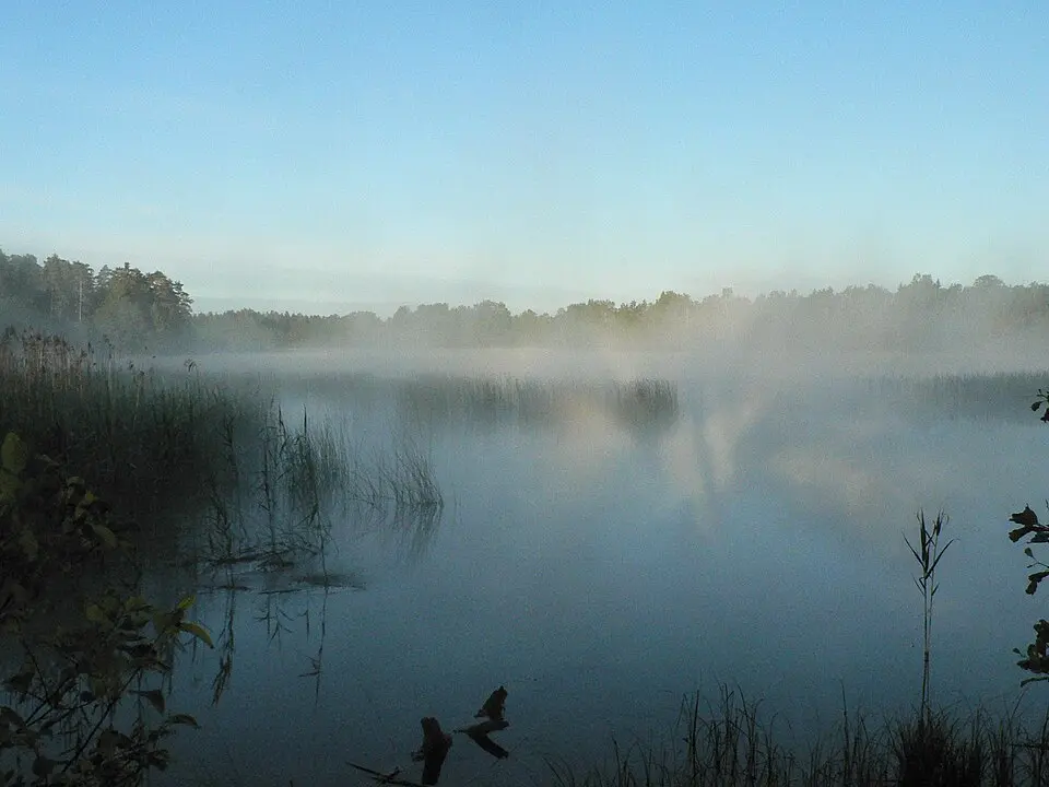 Suurjärv