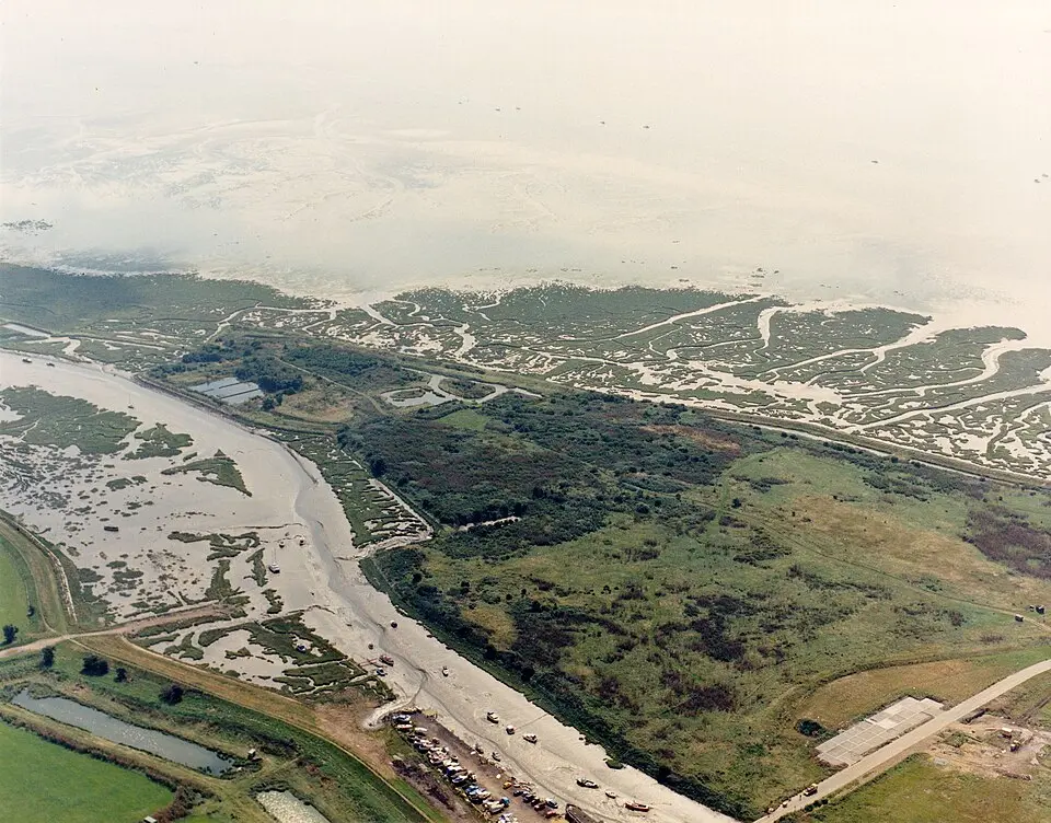 Two Tree Island