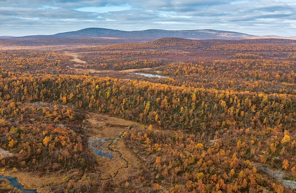Paistunturi Wilderness Area