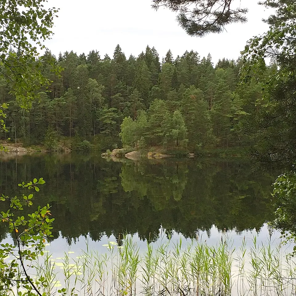 Kvarnsjöns naturreservat