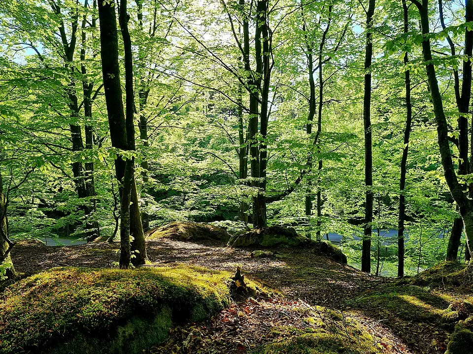 Biskopstorp