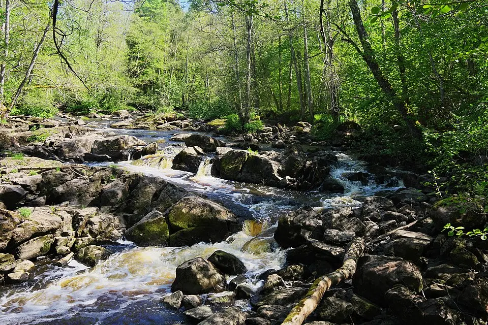 Kvissle naturreservat