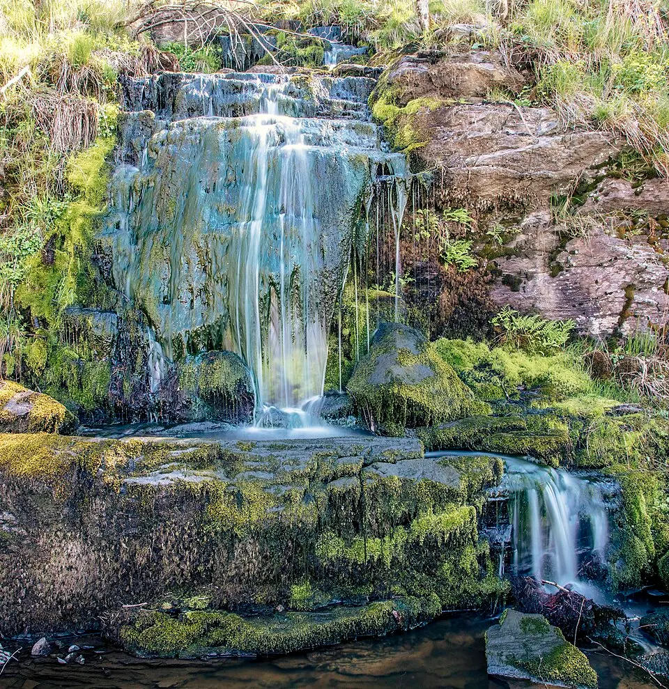 Kviströms naturreservat