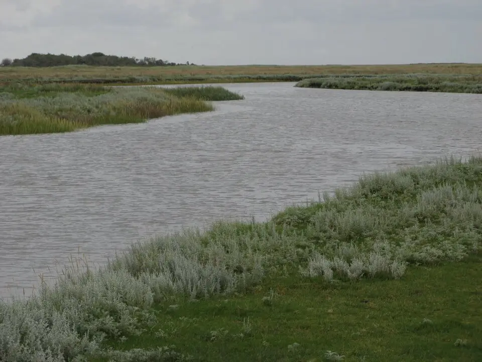 Nationaal Park Schiermonnikoog