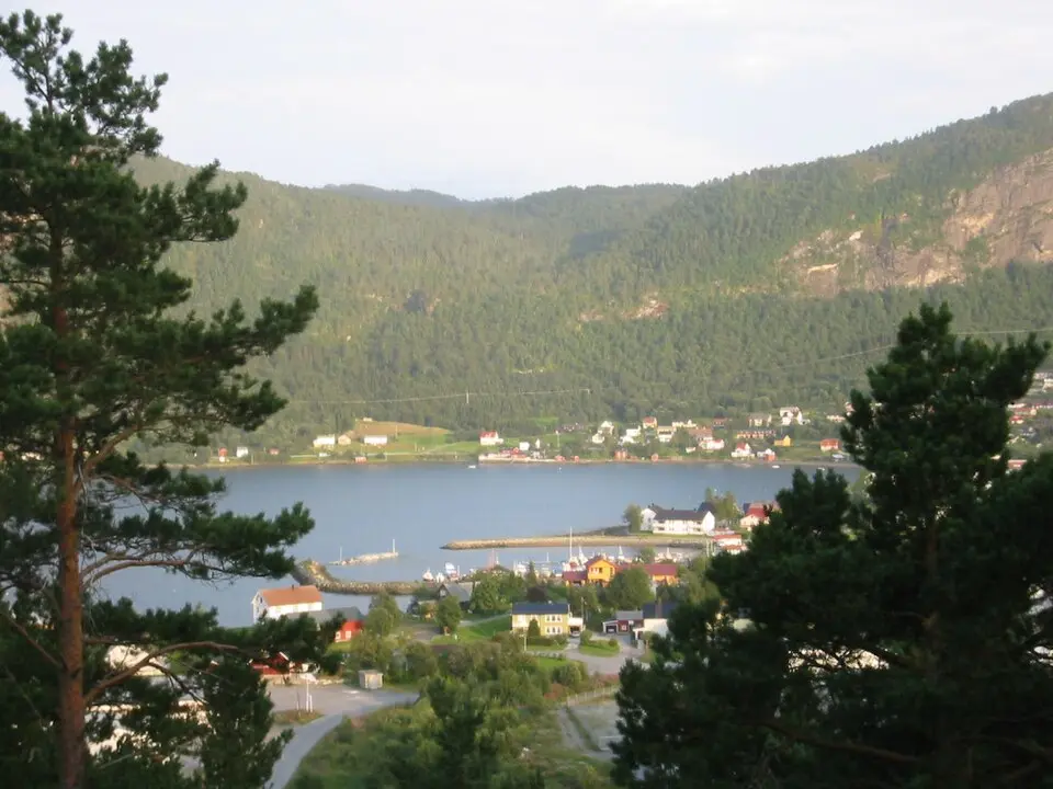 Heim