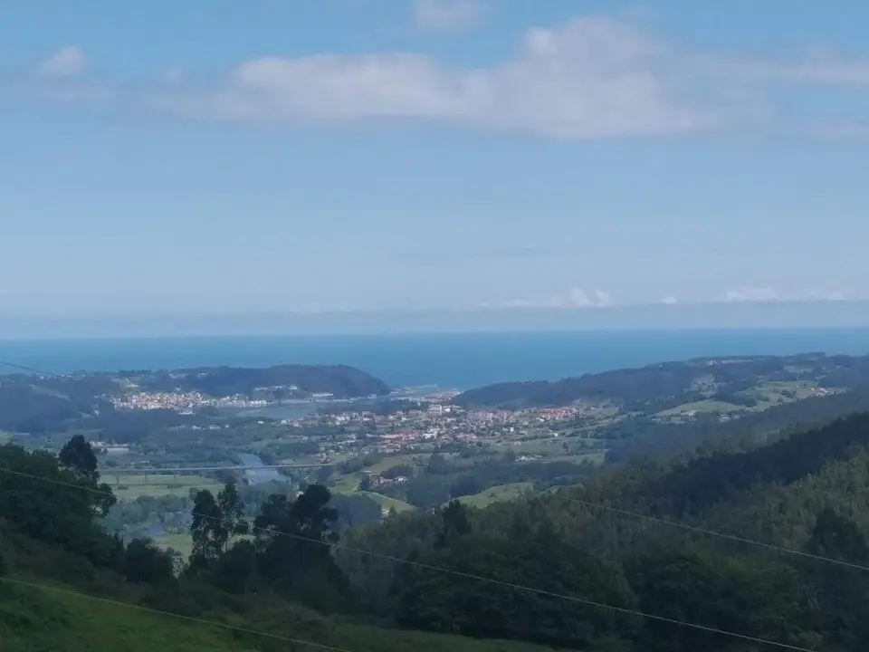 Ranón