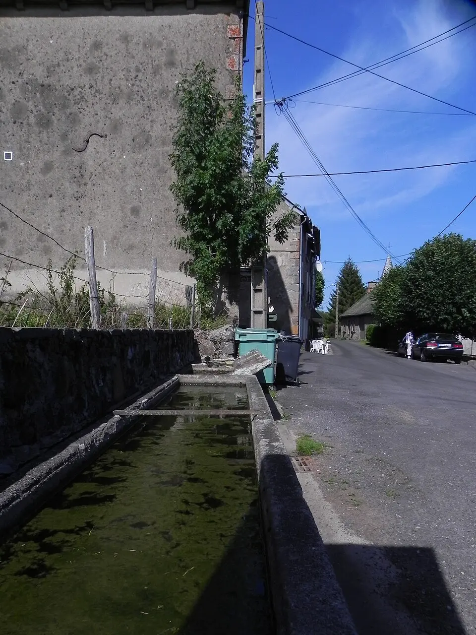 Lavigerie