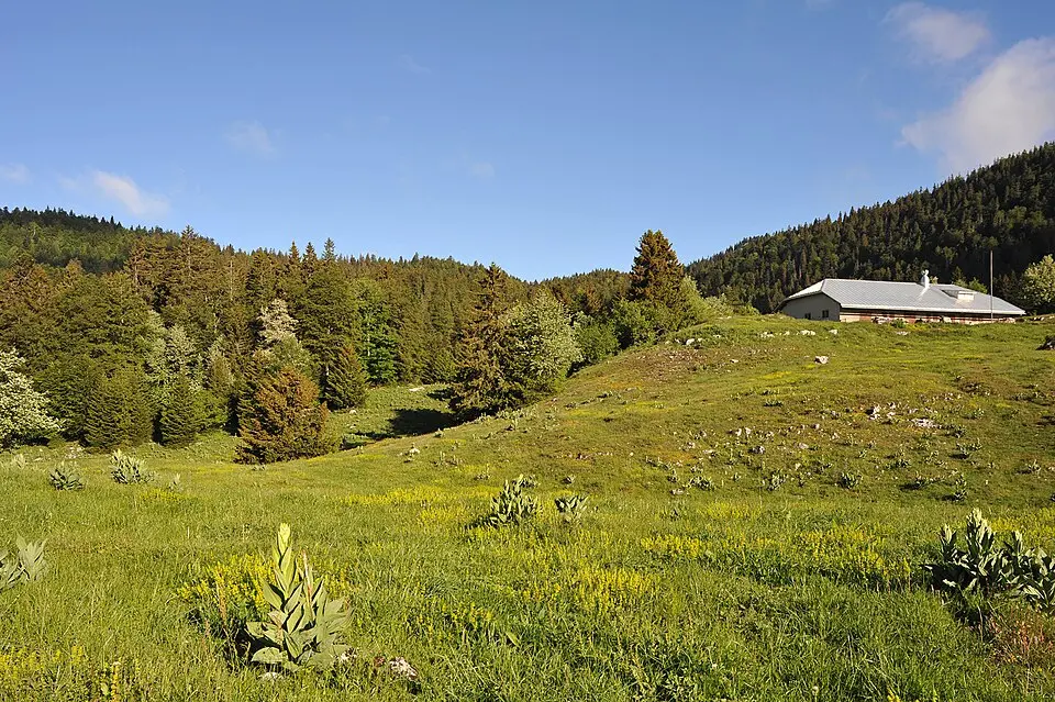 La Rippe